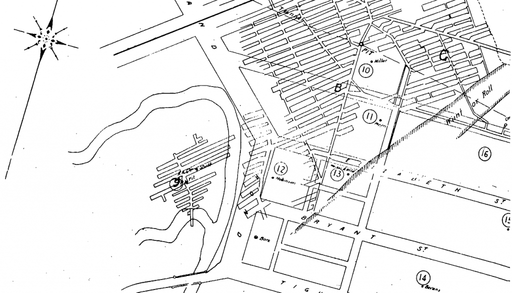 Elizabeth Street Legacy Mine Map Newcastle